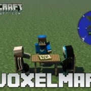 Voxelmap Mod